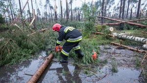 Zdjęcie ilustracyjne.