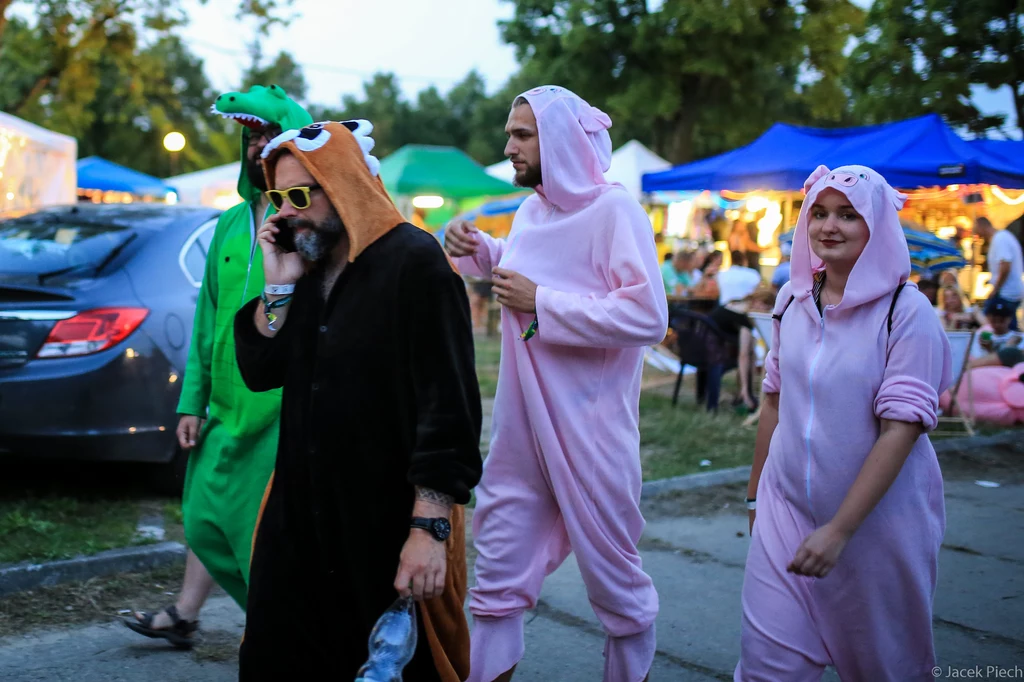 Tak się bawi Ostróda Reggae Festival - zobacz zdjęcia z drugiego dnia imprezy (11 sierpnia 2017 r.)