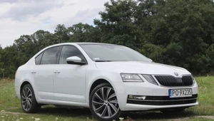 Skoda Octavia, jak każda inna? Nie uwierzysz, ile kosztuje!