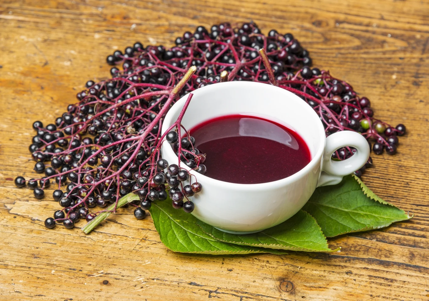 Przygotuj sobie naturalne wsparcie odporności z owoców czarnego bzu Przygotuj sobie naturalne wsparcie odporności z owoców czarnego bzu