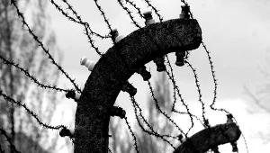 Dokładna liczba ofiar podobozu Jawischowitz nie jest znana. Prawdopodobnie zginęło w nim kilka tysięcy osób.