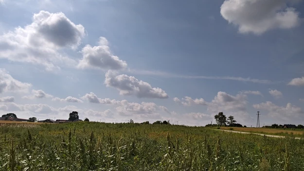 Przykładowe zdjęcie wykonane LG Q6