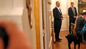 Nemo - nowy lokator w Pałacu Elizejskim