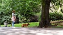 Malowniczy Park Skaryszewski w Warszawie