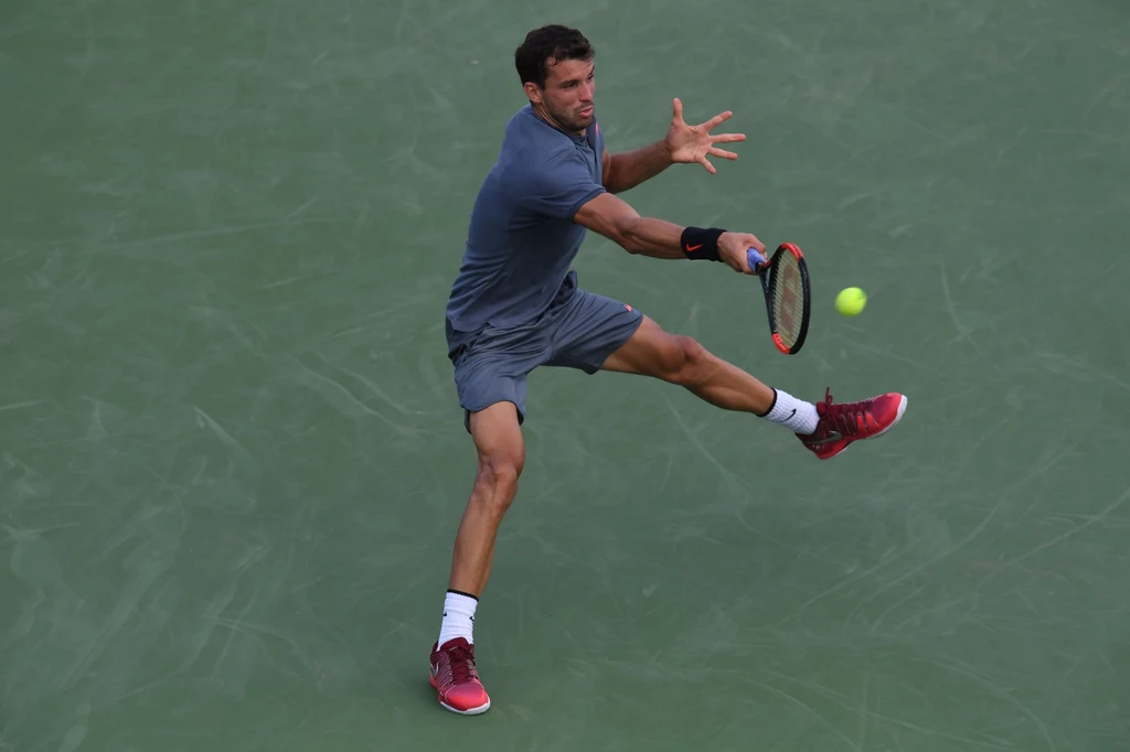 Grigor Dimitrow Grigor Dimitrow