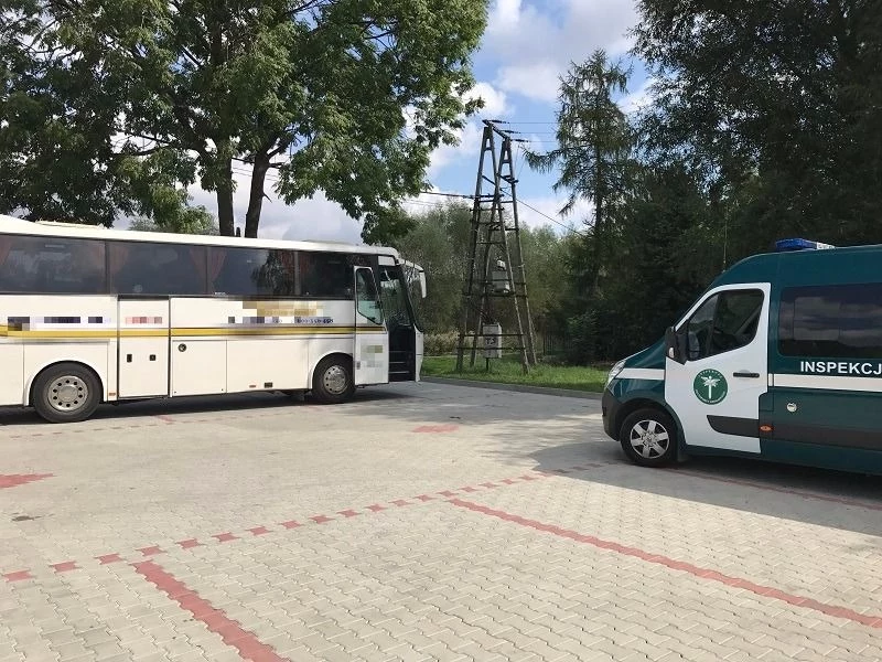 Ten autokar nie miał prawa poruszać się po drogach