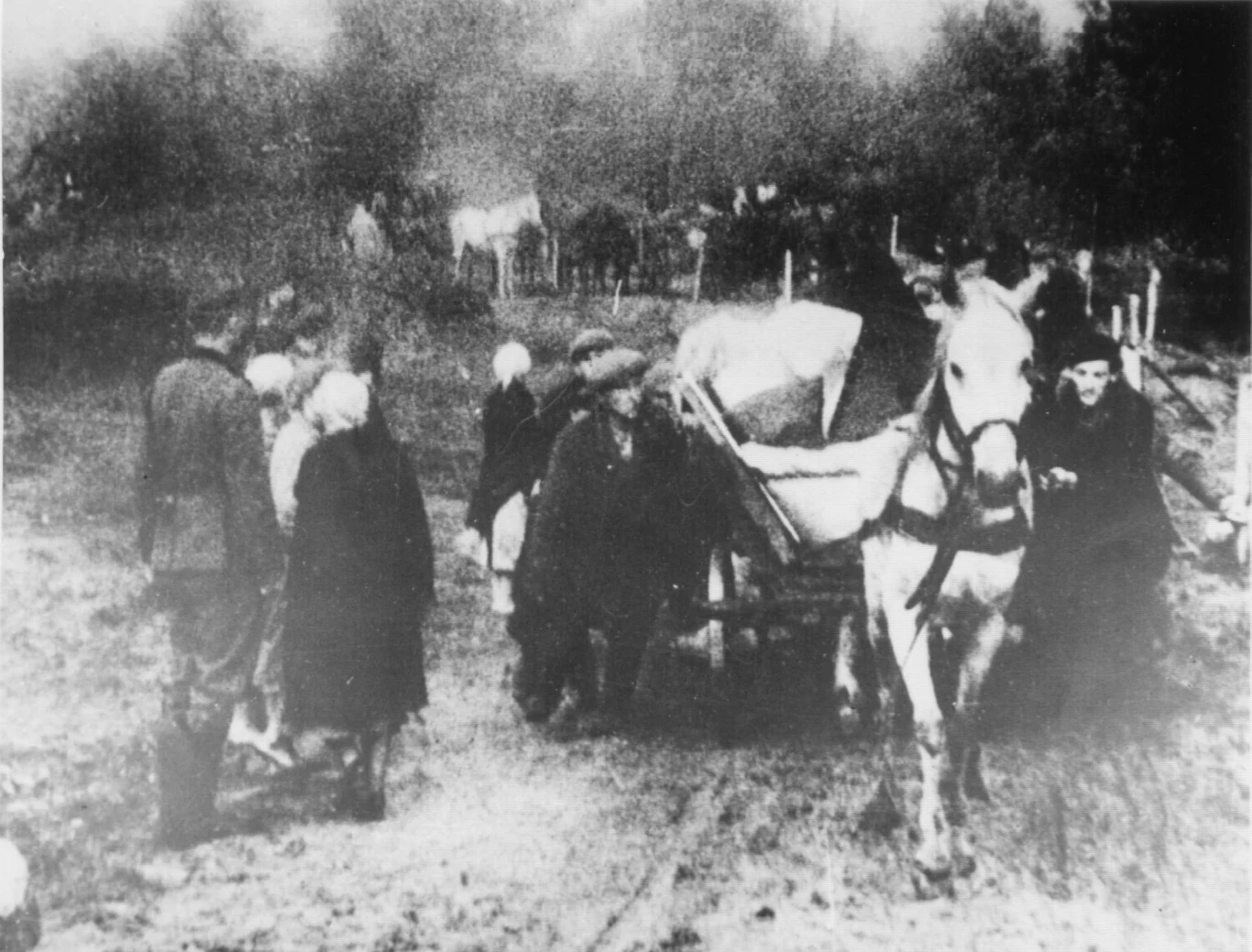 Wysiedlenia na Zamojszczyźnie