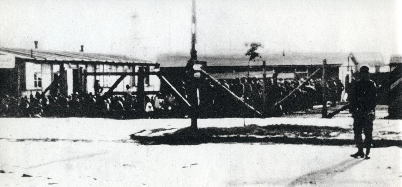 Wysiedlenia na Zamojszczyźnie