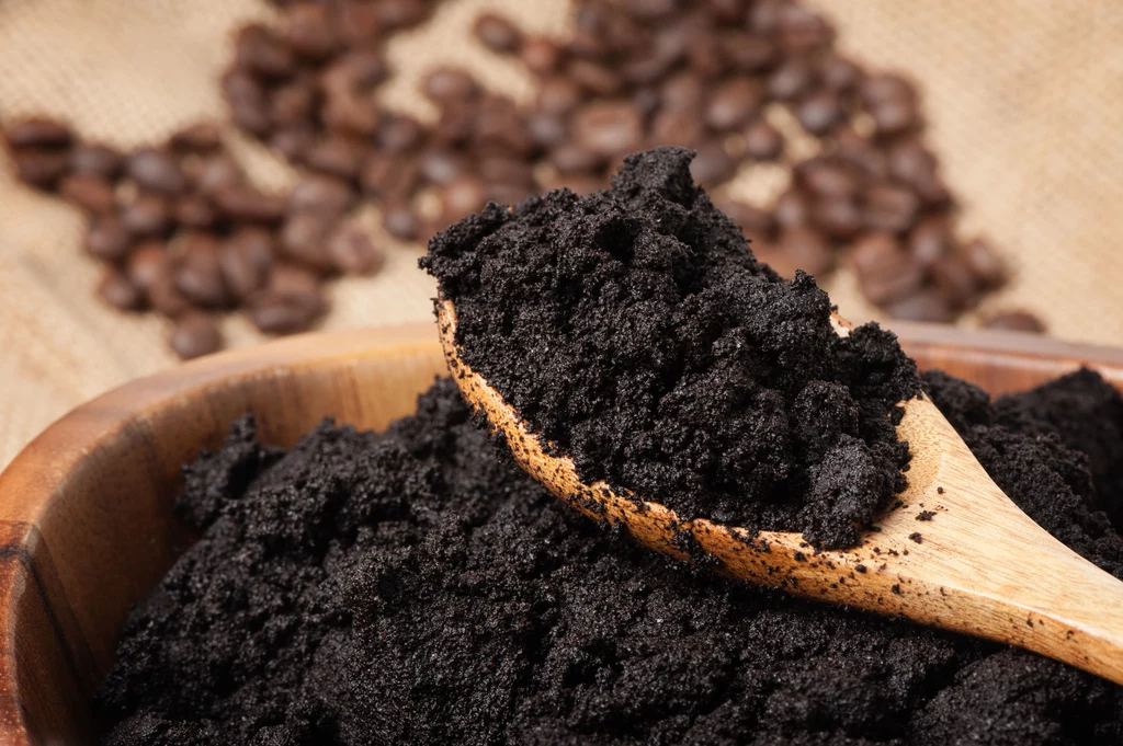 Fusy z kawy wystarczy połączyć z oliwką albo olejem kokosowym, aby uzyskać peeling kawowy