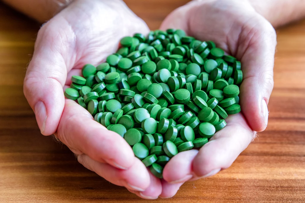 Uzbrojona w naturalne wartości odżywcze chlorella dodaje nam energii, wspiera odporność i utrzymuje nasze ciało w dobrej kondycji Uzbrojona w naturalne wartości odżywcze chlorella dodaje nam energii, wspiera odporność i utrzymuje nasze ciało w dobrej kondycji