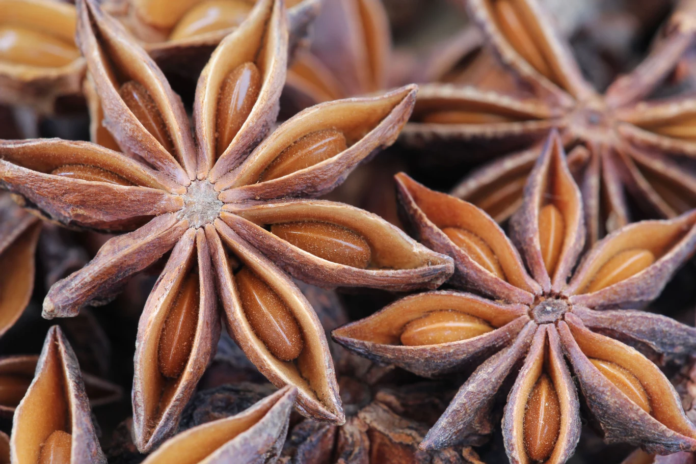 Anyż to jedno z ziół, które ma magiczne właściwości. 