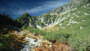 Przeszukanie Doliny Roztoki, gdzie odnaleziono szczątki ludzkie