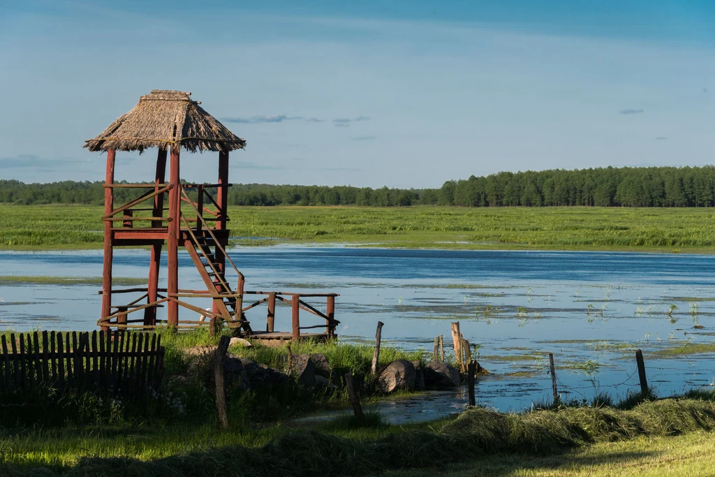 Biebrzański Park Narodowy