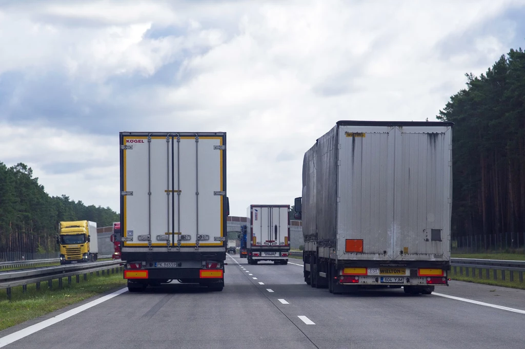 Firmy transportowe mają coraz większe problemy ze znalezieniem kierowców