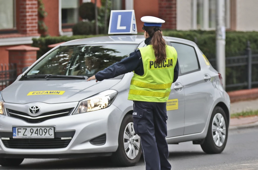 W Polsce wciąż na drogach ginie wiele osób. Czy zły jest system szkolenia?