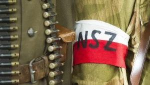 "W NSZ byli także Żydzi, nawet w stopniach oficerskich. Brygada Świętokrzyska NSZ uratowała 180 Żydówek przed spaleniem żywcem przez Niemców"