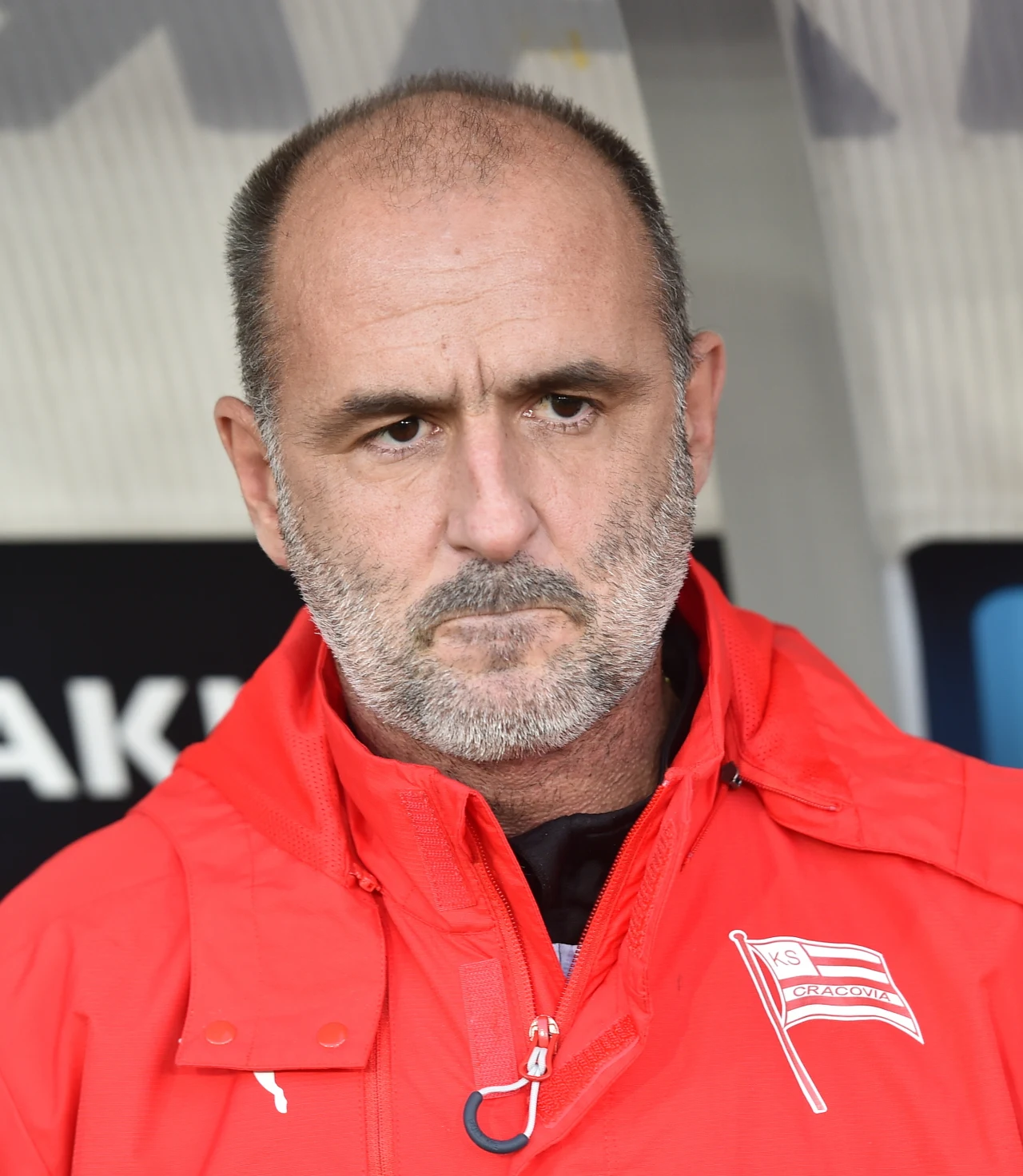 Trener Cracovii - Michał Probierz Trener Cracovii - Michał Probierz