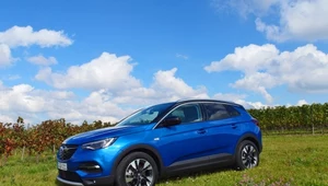 Opel Grandland X: Kolejny owoc francusko-niemieckiego związku