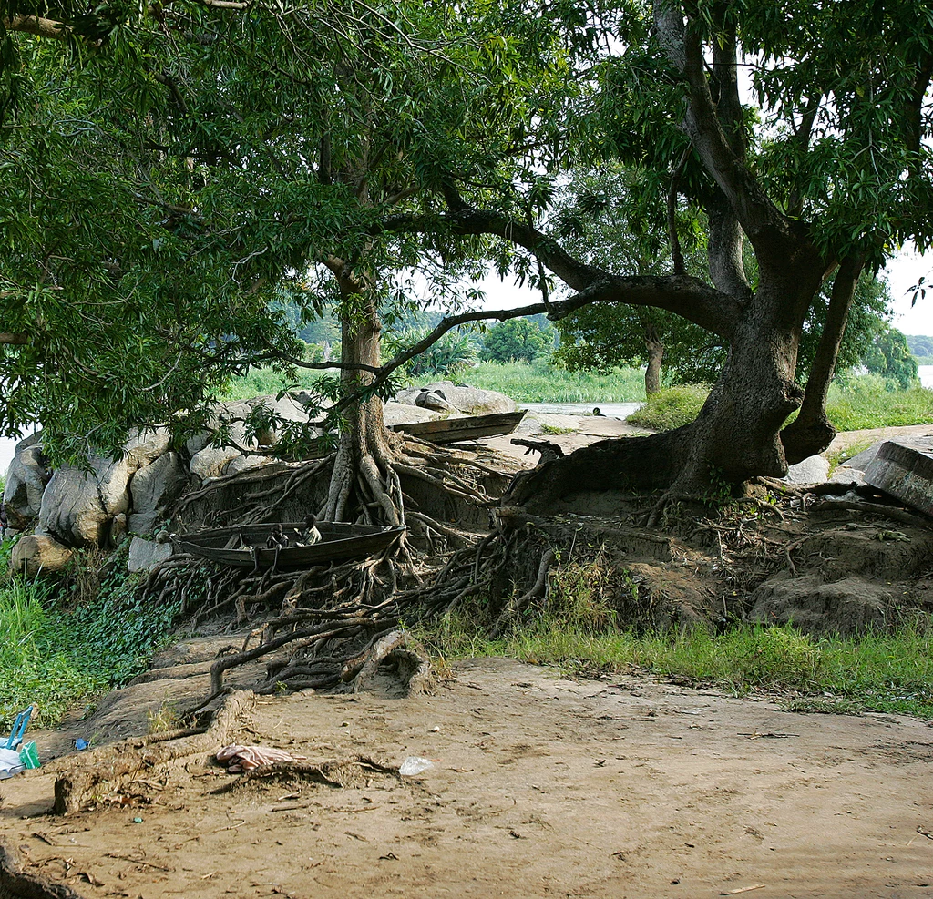 Sudan Południowy, Dżuba, 22.11.2006. Okolice obozu dla uchodźców, chrześcijan, którzy przybyli z terenów objętych walkami z muzułmanami