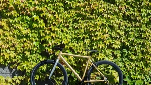 Loca Bikes Raw Gold - rower szyty na miarę