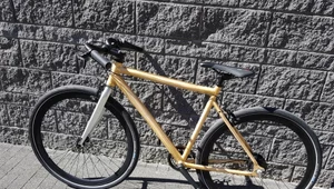 Loca Bikes Raw Gold