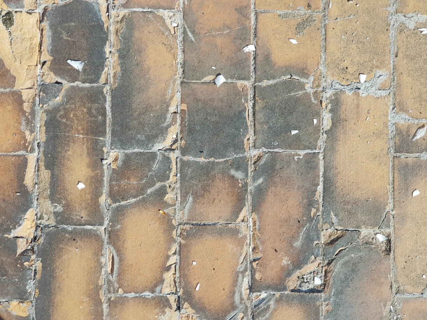 Zdjęcie wykonane Samsungiem Galaxy Note8 Zdjęcie wykonane Samsungiem Galaxy Note8