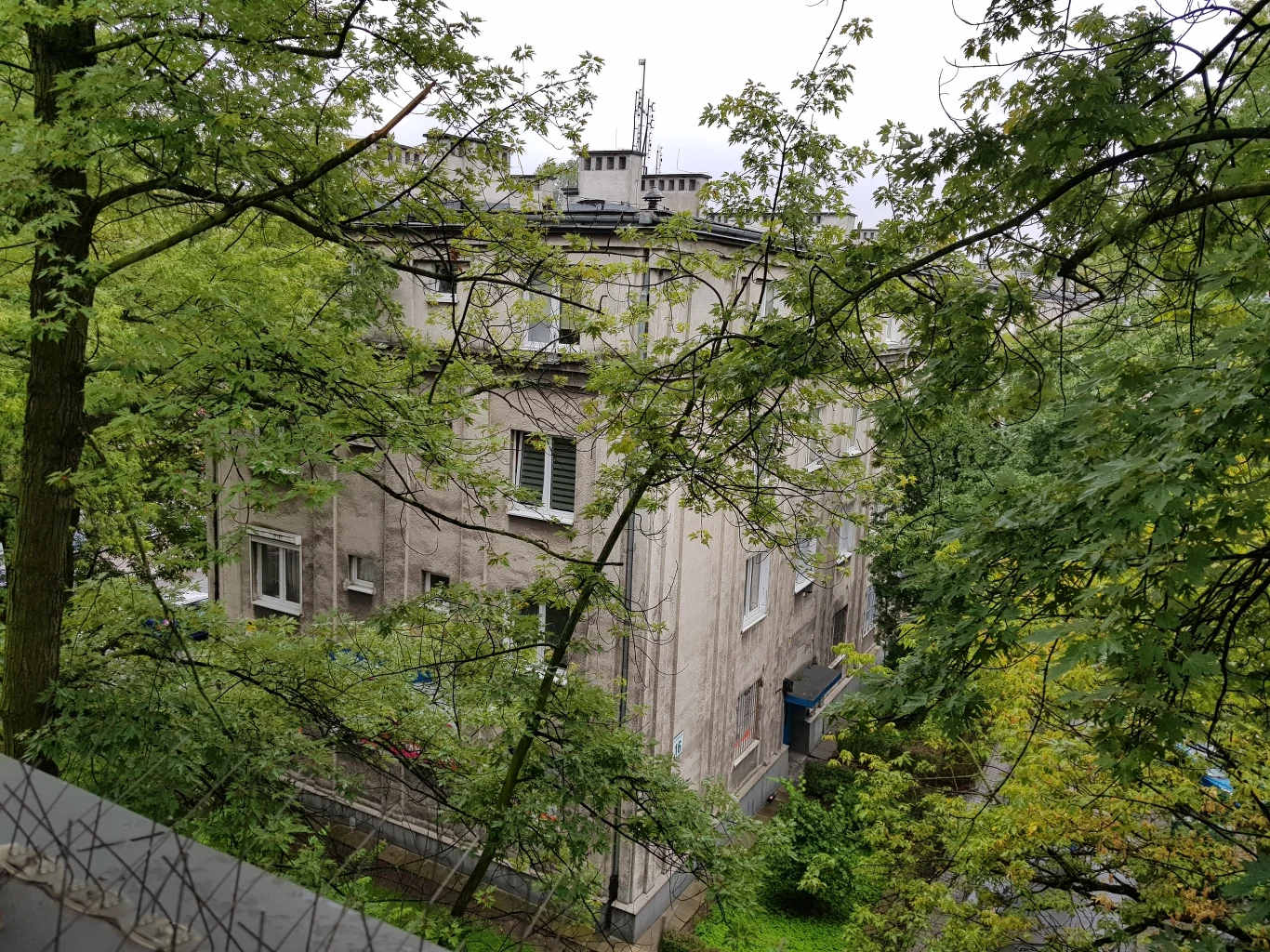 Zdjęcie wykonane Samsungiem Galaxy Note8 Zdjęcie wykonane Samsungiem Galaxy Note8