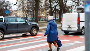 Gdy jeden samochód staje, kierowca drugiego może jechać dalej. Popełnia wykroczenie, które może skończyć się tragicznie dla pieszego