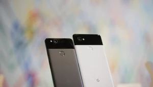 Google Pixel 2 będzie dostępny od 17 października tylko w jednej wersji