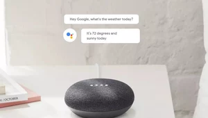 Google Home Mini szpieguje użytkowników? Niepokojące odkrycie