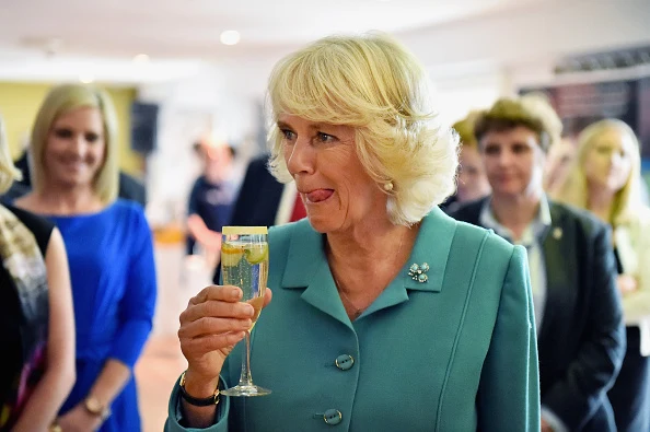 Księżna Camilla Księżna Camilla