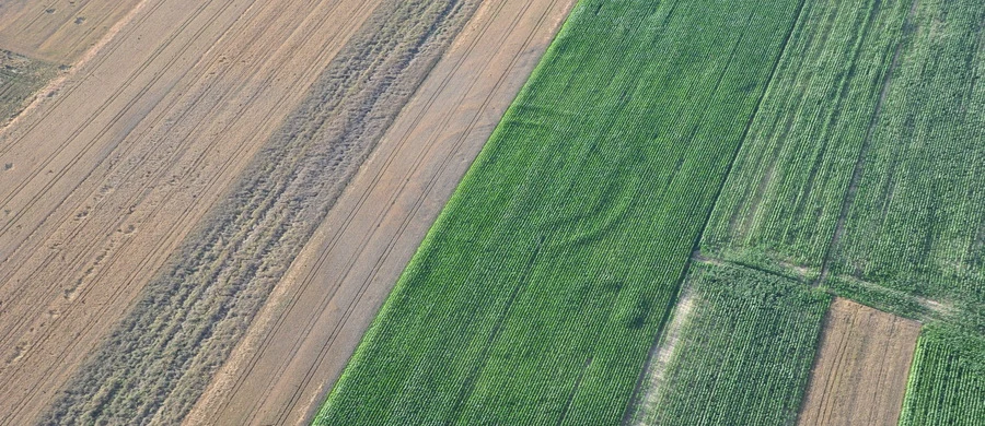 Ślady odkryte pod Oławą są pozostałością po dawnej budowli Ślady odkryte pod Oławą są pozostałością po dawnej budowli