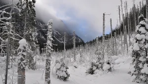 Dolina Roztoki (zdj. ilustracyjne)