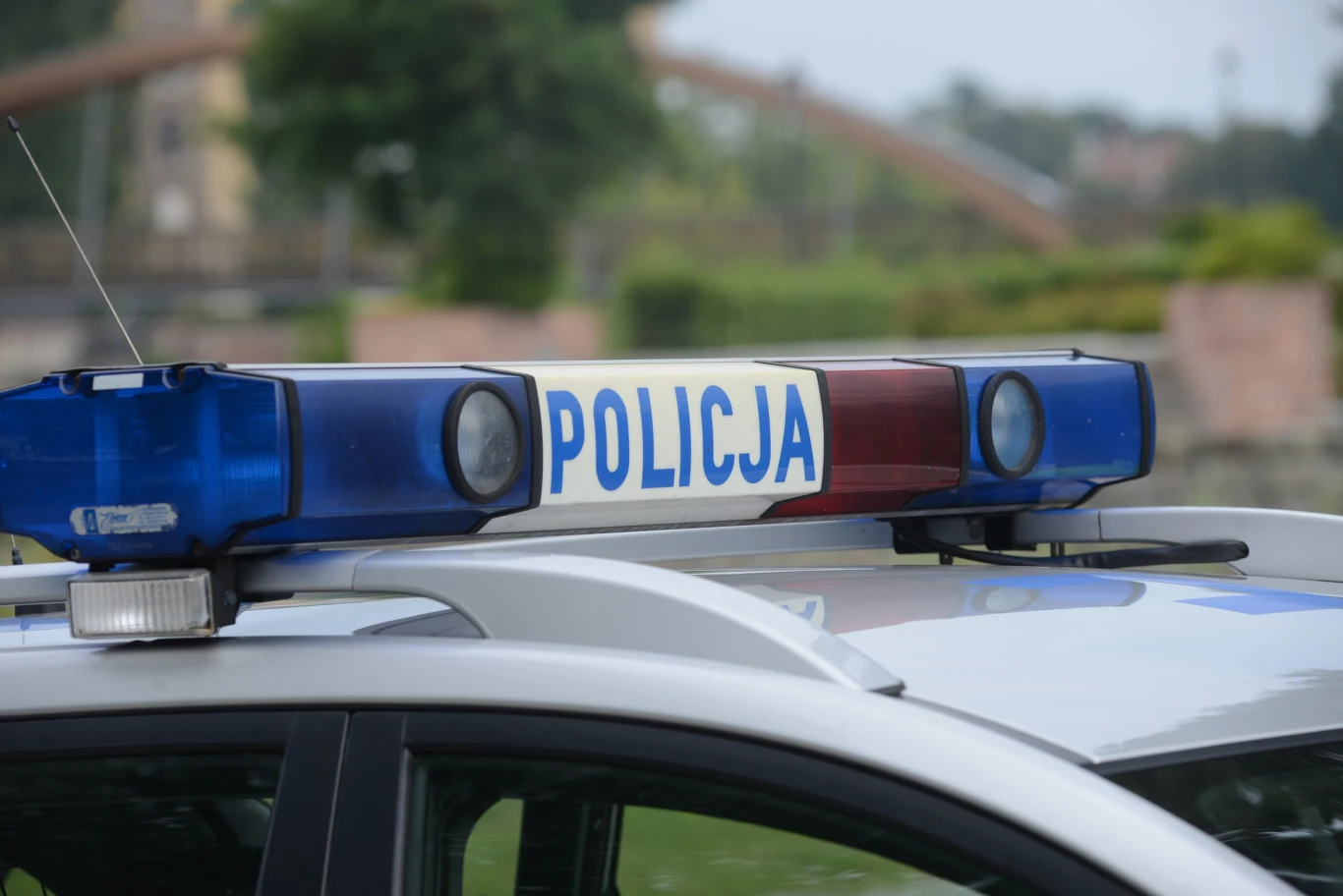 zdj. ilustracyjne zdj. ilustracyjne