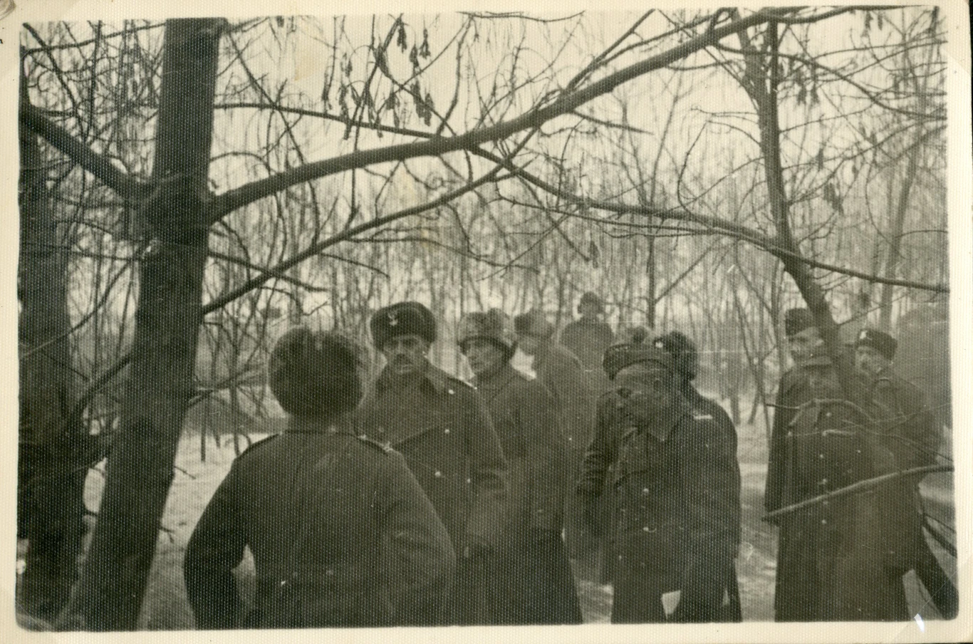 Gen. Władysław Anders przyjmuje meldunek, Tock XI–XII 1941 r. AAN, Akta Leona Wacława Koca, sygn. 21.