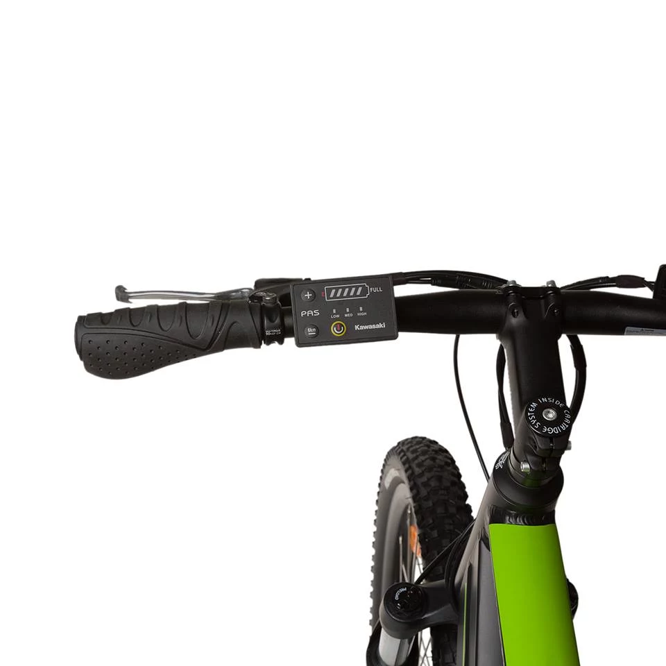 Kawasaki Electric Trekking MTB