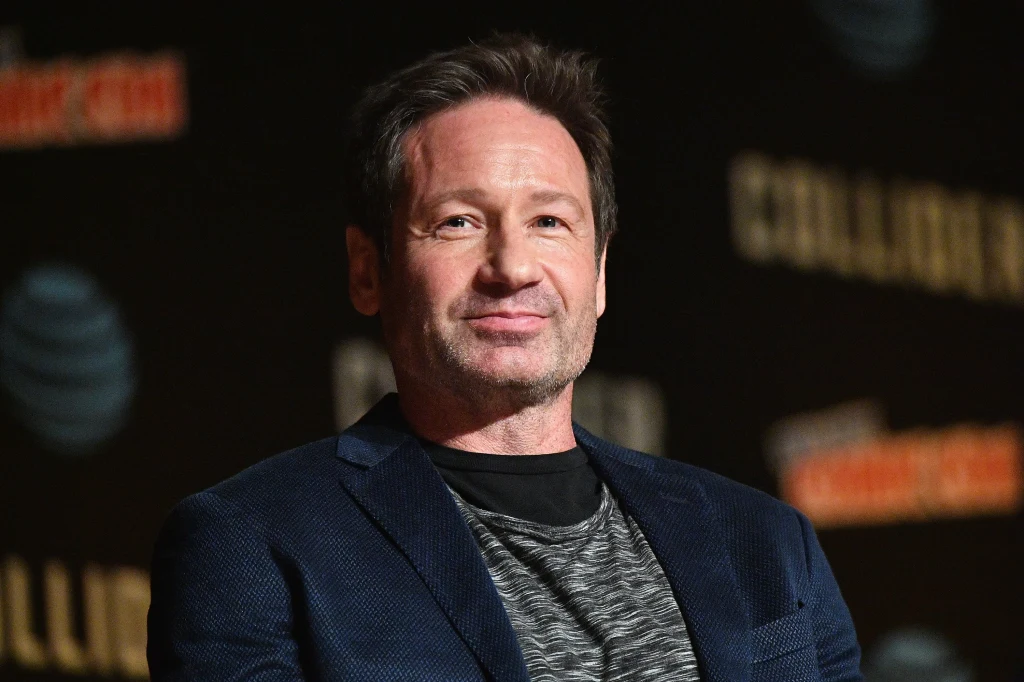 David Duchovny David Duchovny