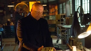 Vincent D'Onofrio