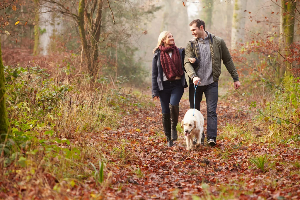 Spacer po lesie, parku czy samo przebywanie w ogrodzie znacznie przyczynia się do poprawienia kondycji psychicznej i samopoczucia