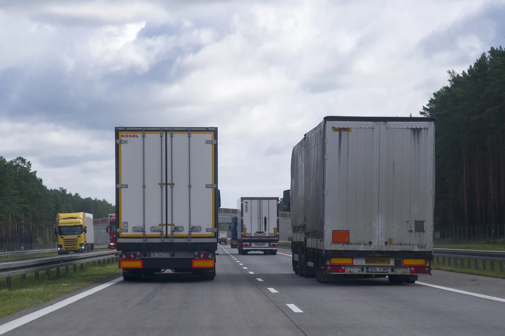 Rejestr ma obejmować wszystkich przewoźników