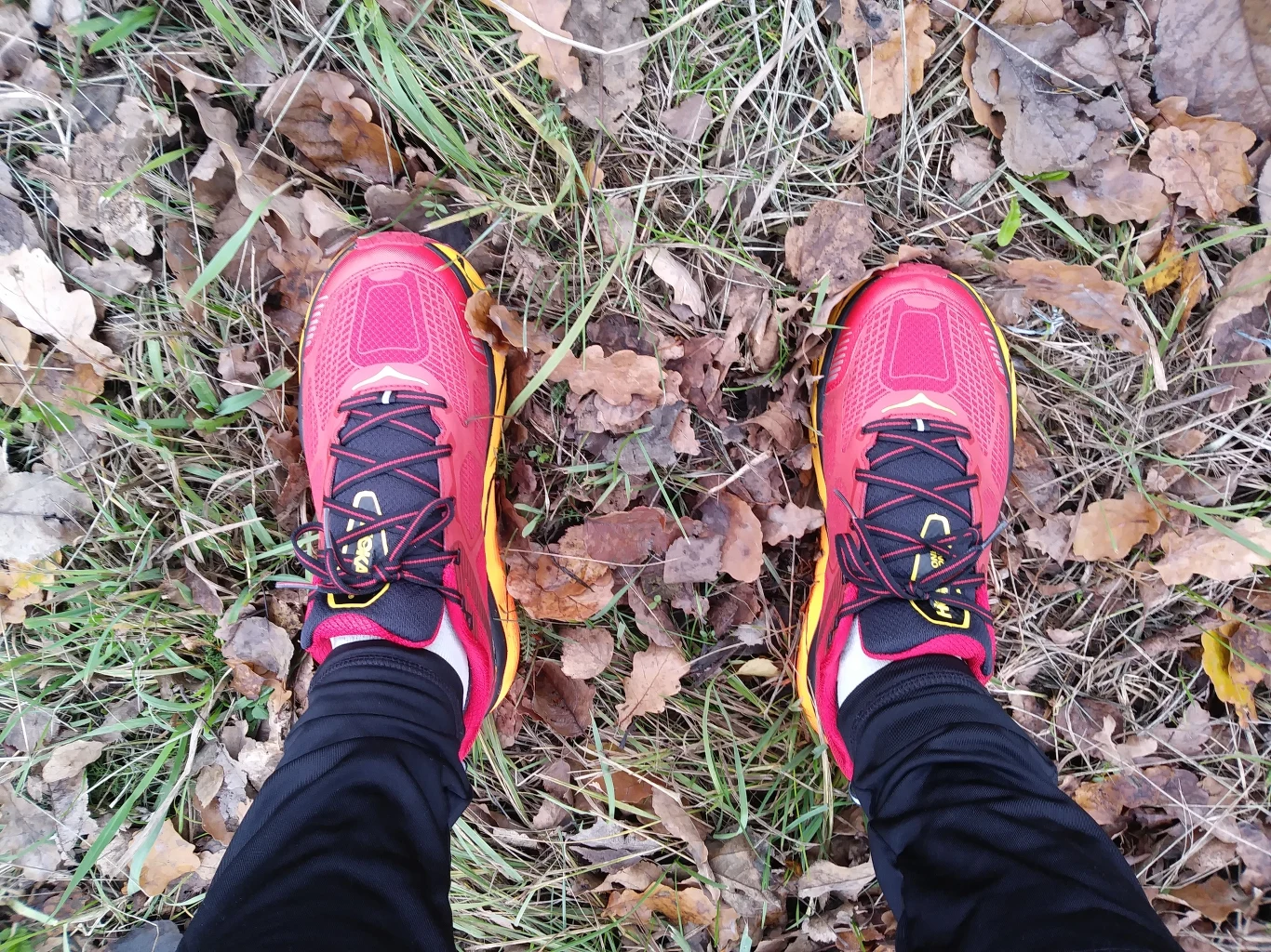 Postanowiliśmy podejść. I wcale nie żałujemy Postanowiliśmy podejść. I wcale nie żałujemy