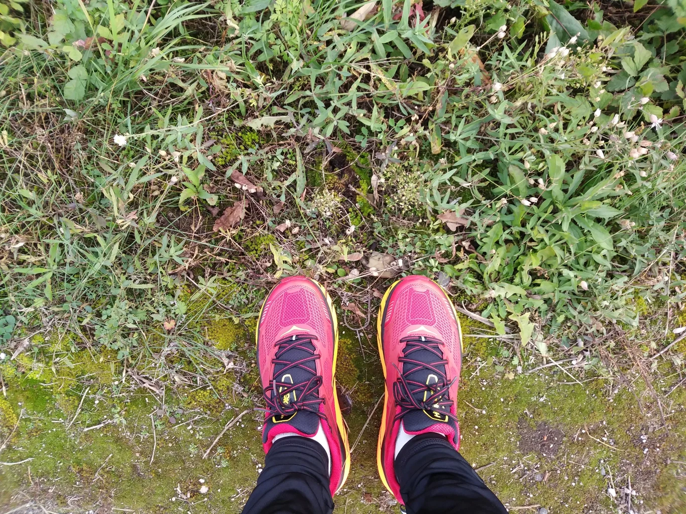 Postanowiliśmy podejść. I wcale nie żałujemy Postanowiliśmy podejść. I wcale nie żałujemy