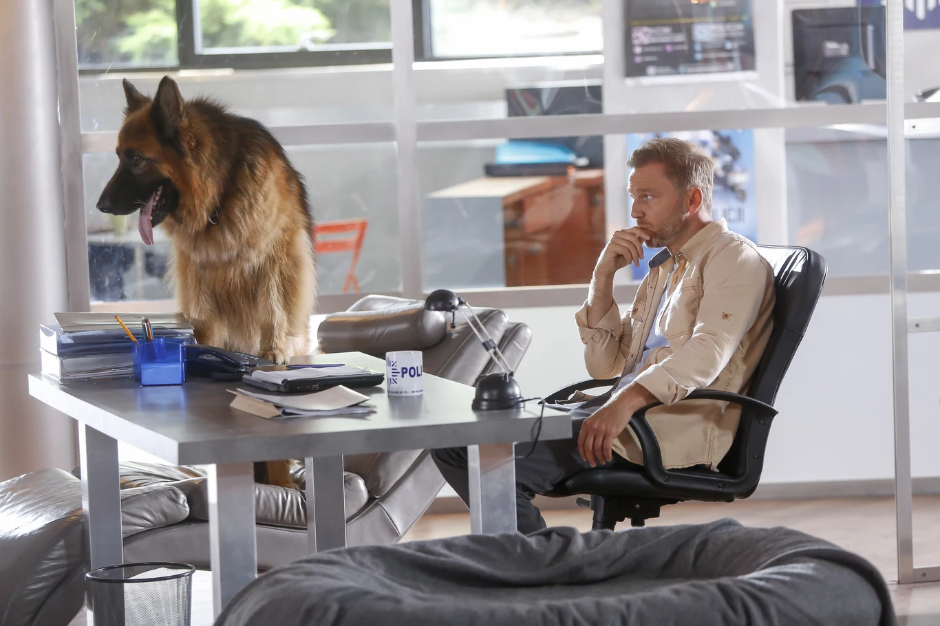 Widzowie pokochali Krystiana Wieczorka w roli komisarza Górskiego w serialu "Komisarz Alex" Widzowie pokochali Krystiana Wieczorka w roli komisarza Górskiego w serialu "Komisarz Alex"