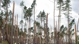 Pierwszy eksperyment procesowy w miejscu obozowiska odbył się w ciągu dnia