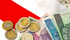 Złotówki zadebiutowały na Steamie