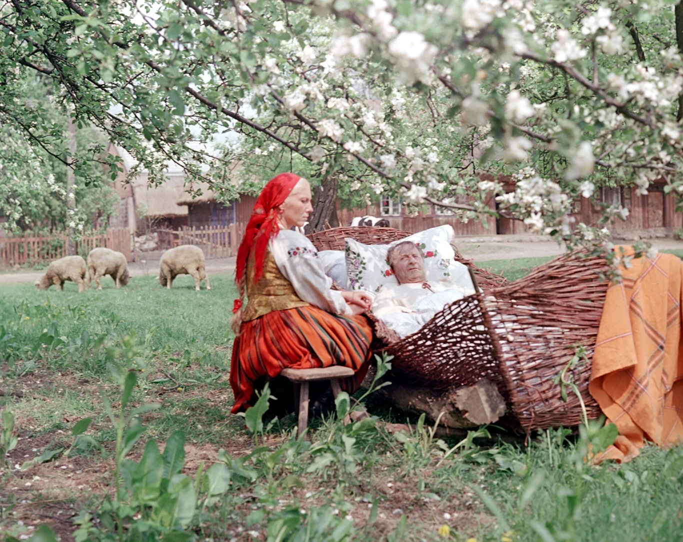 Troskę Hańczy o zachowanie realiów miała okazję docenić Emilia Krakowska, partnerująca mu w "Chłopach". "Jakby to powiedzieć, doszkalał mnie w różnych odczuciach. W jednej ze scen miałam położyć się z nim do łóżka. Wiadomo, aktorzy w filmie kładą się w ubraniach. Odkrywam kołdrę, a tu Hańcza golusieńki − opowiadała. − Wskoczyłam Hańczy do łóżka!".

("Życie na Gorąco Retro")