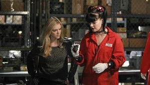 Agenci NCIS