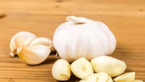 Taki czosnek omijaj w czasie zakupów. To najgorszy wybór