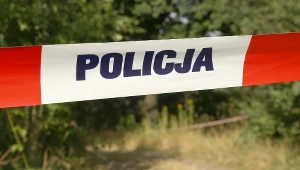 Wielkopolskie: W lesie odkryto ludzkie szczątki, zdj. ilustracyjne