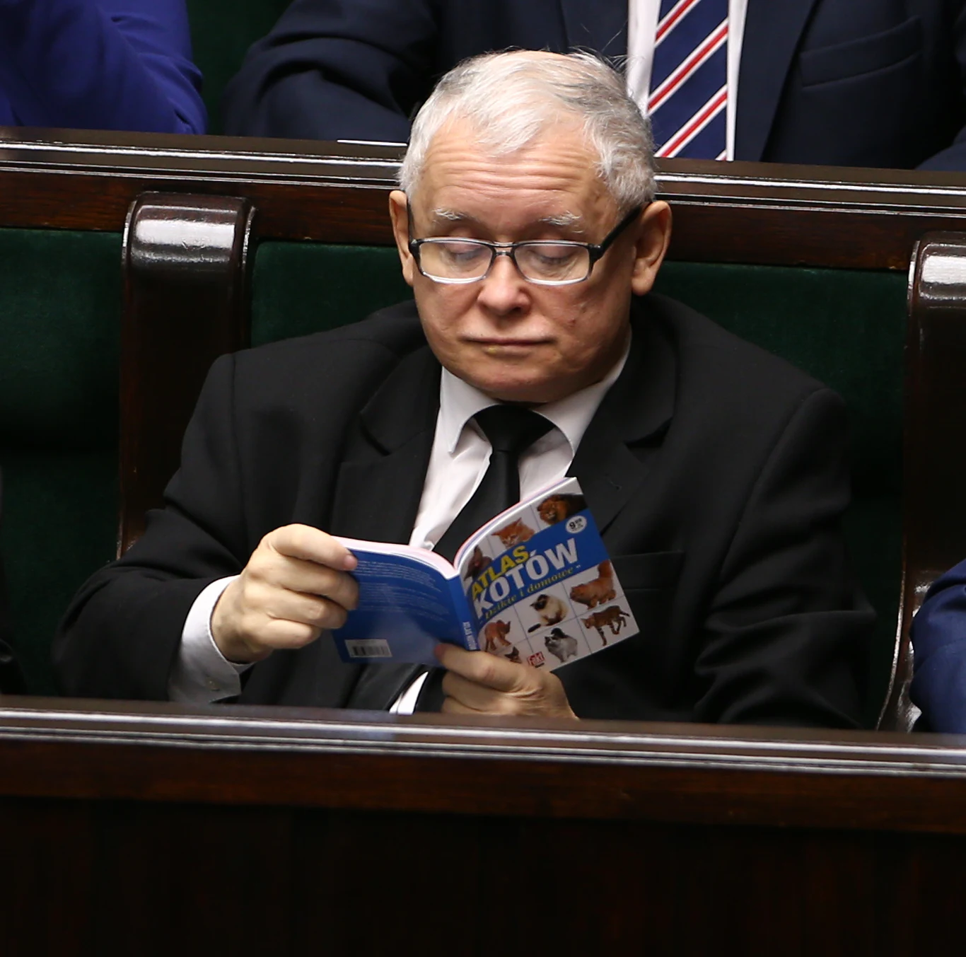 Jarosław Kaczyński Jarosław Kaczyński